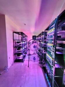 1 Rig Mining