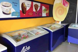 bisnis aice