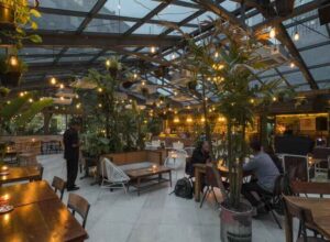 bisnis lucy in the sky
