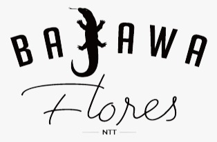 peluang usaha Kopi Bajawa Flores