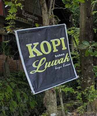 bisnis Kopi Bukan Luwak