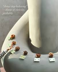 Peluang Bisnis Donut of Curiosity