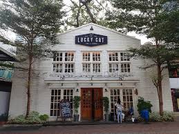 Franchise Lucky Cat Coffee & Kitchen