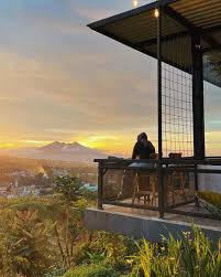 Peluang Bisnis Kopi Puncak AJIP