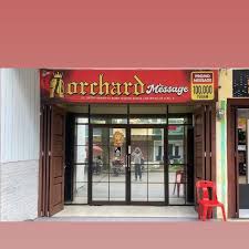 Franchise Orchard Spa medan