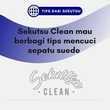 Franchise Sekutsu Clean