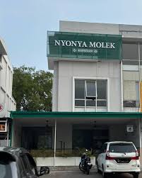 Kemitraan Nyonya Molek