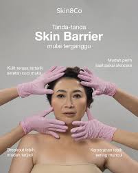 Franchise Skin&Co Clinic